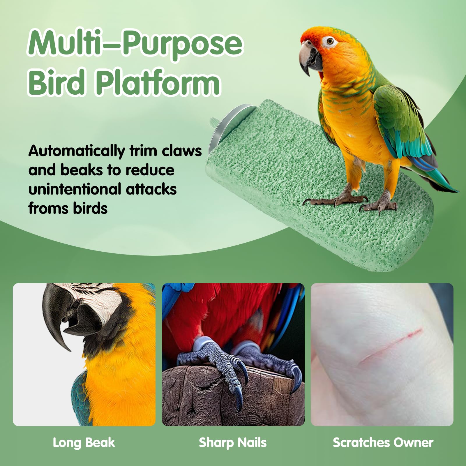 3Pcs Beak Grinder for Birds: Parakeet Beak Grinding Stone&Nail Trimming Perch-Flat Perches for Bird Cages,Budgie Cage Accessories - image 5