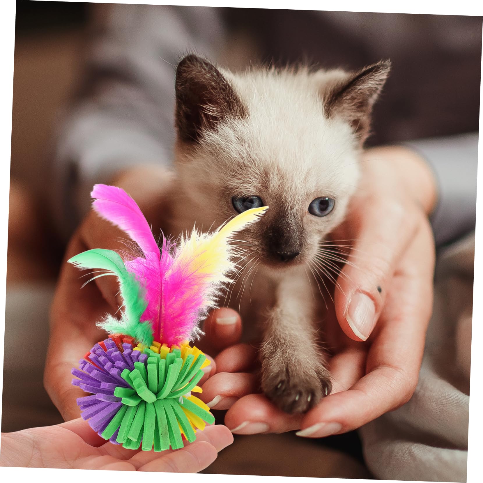 WOONEKY Lot de 2 Jouets pour Chats Gobelets Rebondissants Distributeur de Friandises Fonctions de Poursuite Et de Grattage 4 Pièces