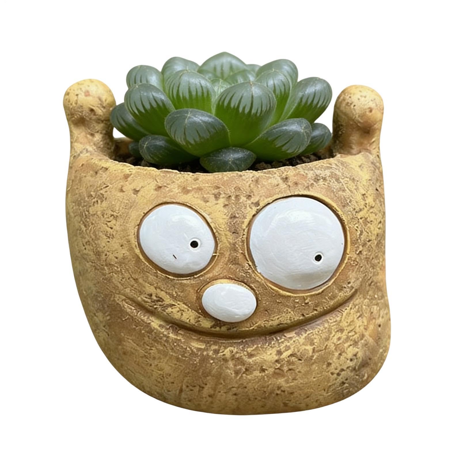 Pots pour amusants et verdure : décorez votre salon ou votre cuisine