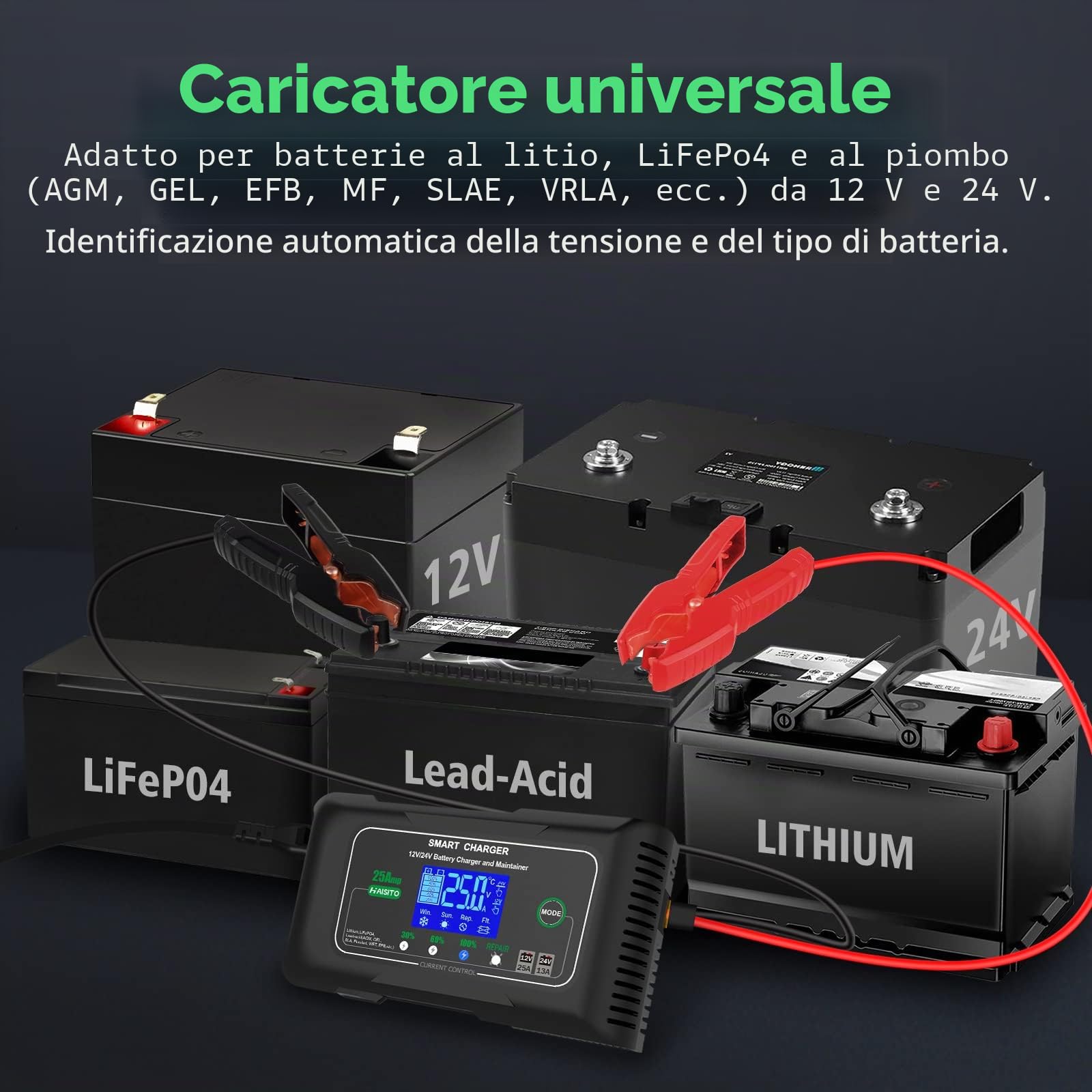Haisito Carica Batterie per Auto 12V/24V 25A, Caricabatterie Auto Intelligente Caricabatteria e Mantenitore Moto Portatile per Batterie al Litio, LiFePO4, Piombo-acido(AGM, GEL, EFB, SLA, VRLA)
