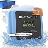 NASSWERK&reg; Algizid f&uuml;r Pool fl&uuml;ssig 5L | Algenvernichter Pool um gr&uuml;nes Poolwasser klar bekommen | Poolklar Anti Algenmittel Pool & Whirlpool | Pool Algenvernichter mit Klareffekt Algezid Algenverh&uuml;ter
