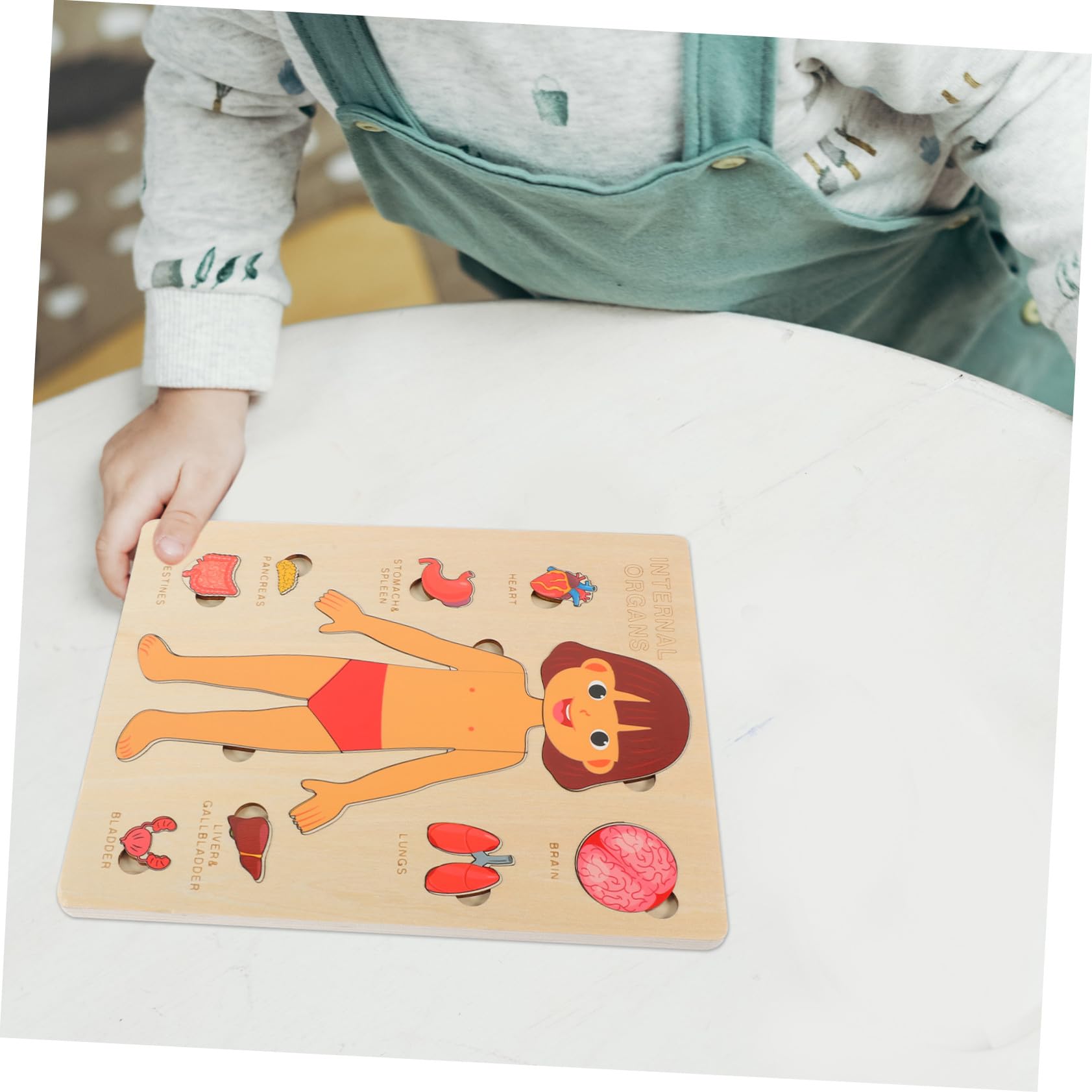 Puzzle Anatomia Umana in Legno per Gioco Educativo Organi del Corpo Didattico per Ragazzo e Aiuto Insegnamento Scuola Sviluppo Coordinazione e Memoria