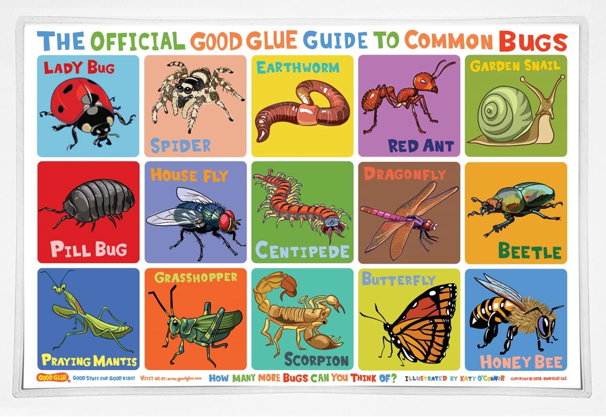 The Official Good Glue Guide to Common Bugs Placemat