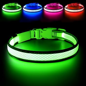 HiGuard LED Dog Collar, USB Rechargeable Glowing Pet Collar Night Safety LED Light Up with Nylon Webbing Perfect for Small, Medium, Large Dogs (Large Collar[18