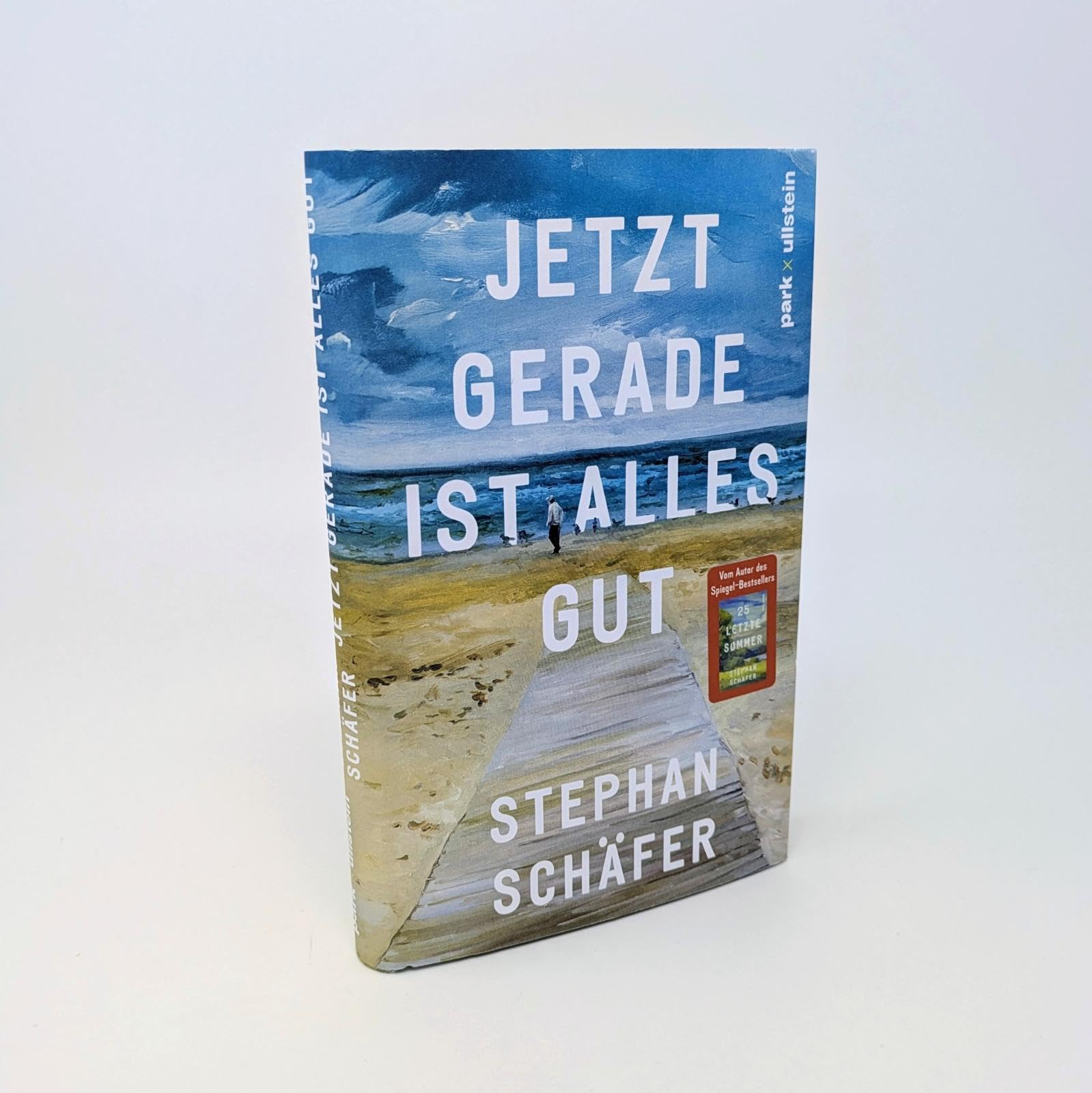 Jetzt gerade ist alles gut: Nach dem SPIEGEL-Bestseller "25 letzte Sommer" - der neue Roman von Erfolgsautor Stephan Schäfer
