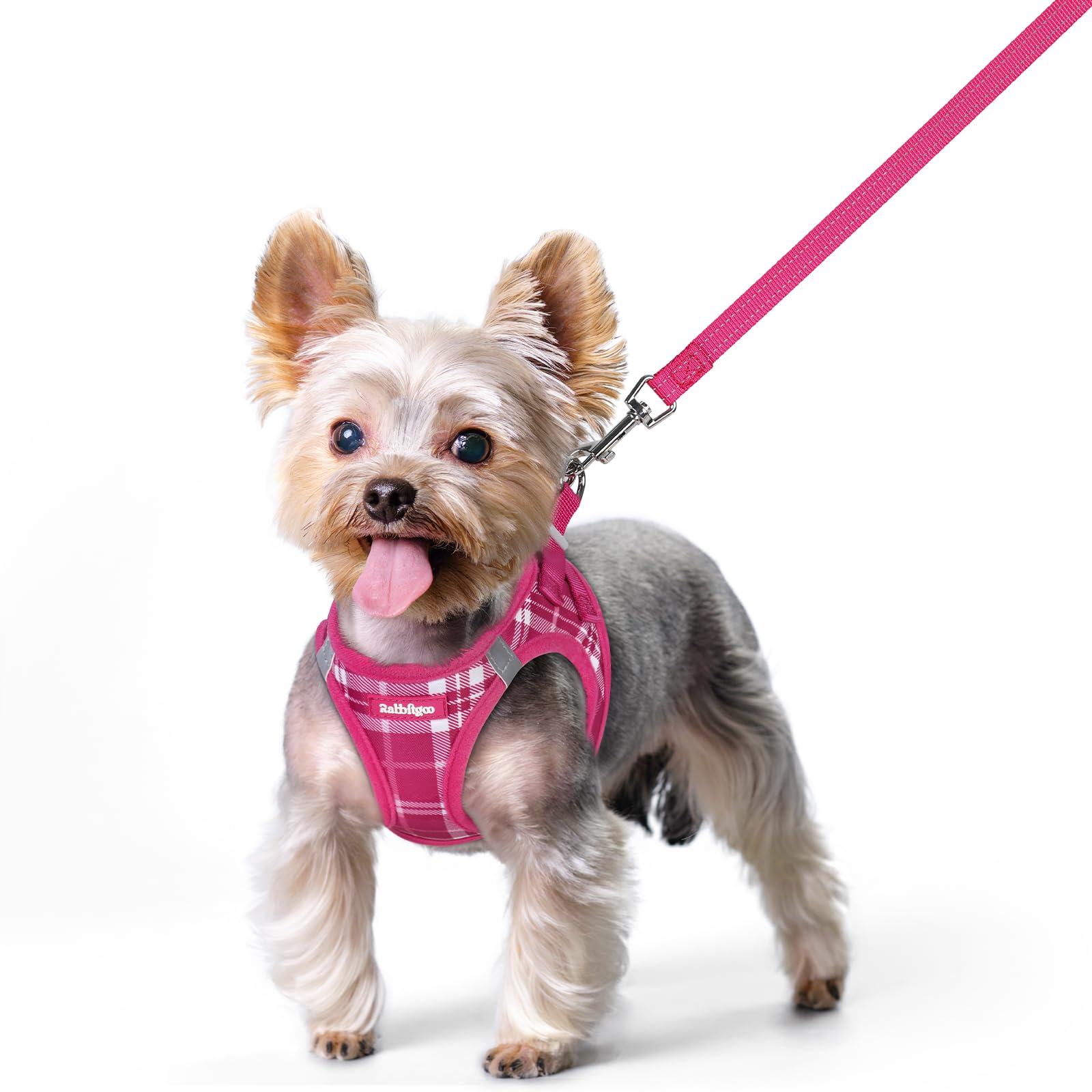 rabbitgoo Dog Harness Small Sized and Leash Set, Step-in Puppy Pet Vest