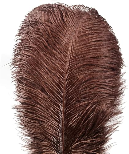 Lampu 10pcs plumas de avestruz 12-14 pulgadas (11.8-13.8 in) Plume Decoración de la boda del hogar (marrón) disponible en Yaxa Peru