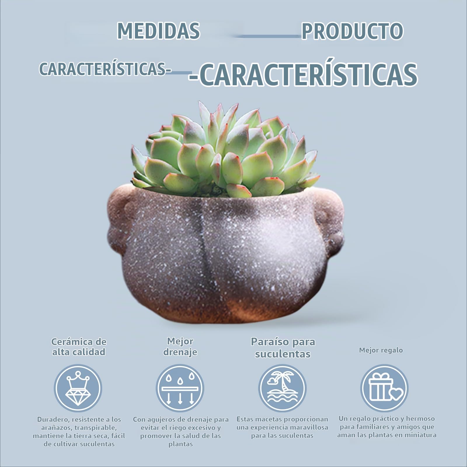 Maceta Suculenta,Macetas Decorativas de Cerámica,Maceta Cactus y Suculentas, con Agujero de Drenaje,para Plantas de Interior/Exterior, Flores, Cactus, Decoración del Hogar del Jardín