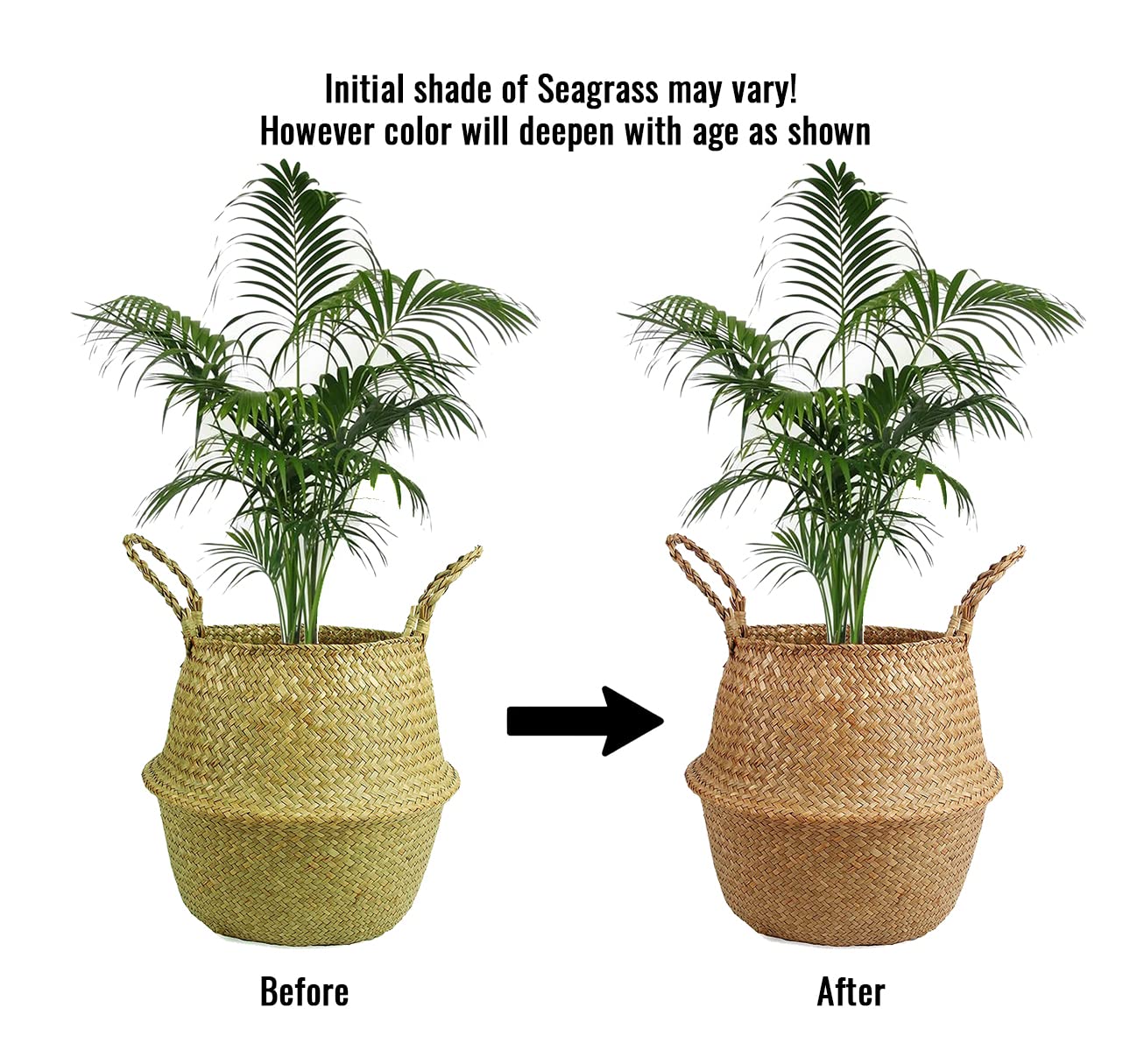 SeaforthHome Plant Basket Wicker Basket Indoor, 11'' Woven Seagrass Basket for Plants, Large