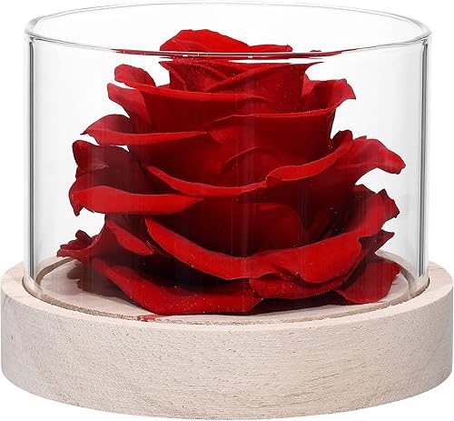 Fragancia para el hogar flores de rosas flores de rosas reales preservadas para el día de San Valentín Navidad regalo de boda para ella regalo para