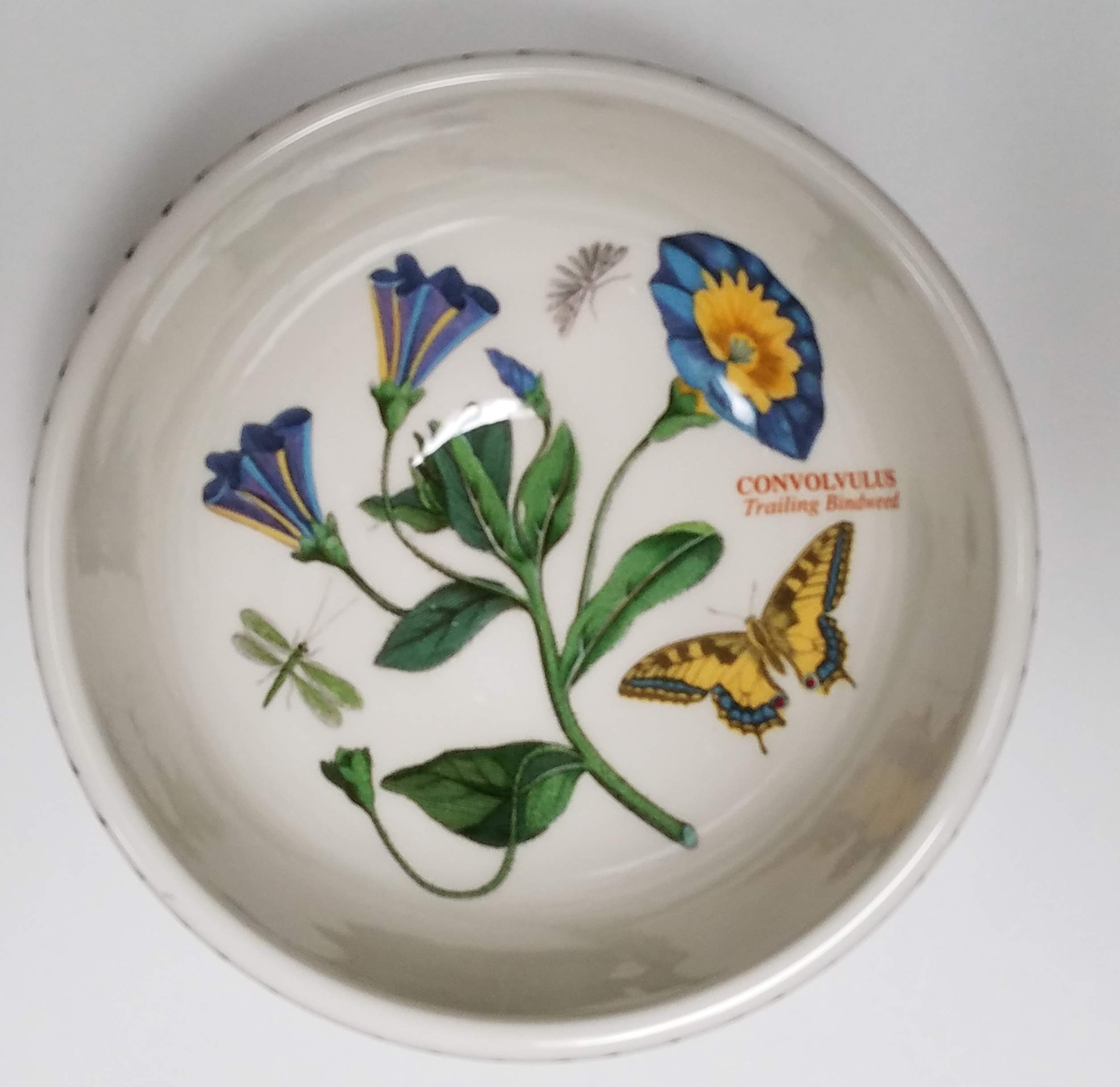 Portmeirion Natural Botanic Garden Fruit Salad Bowl