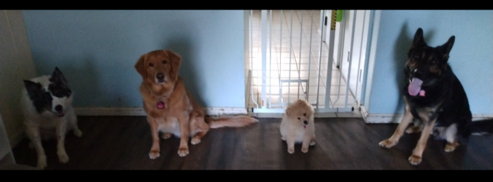 Great book, worth buying