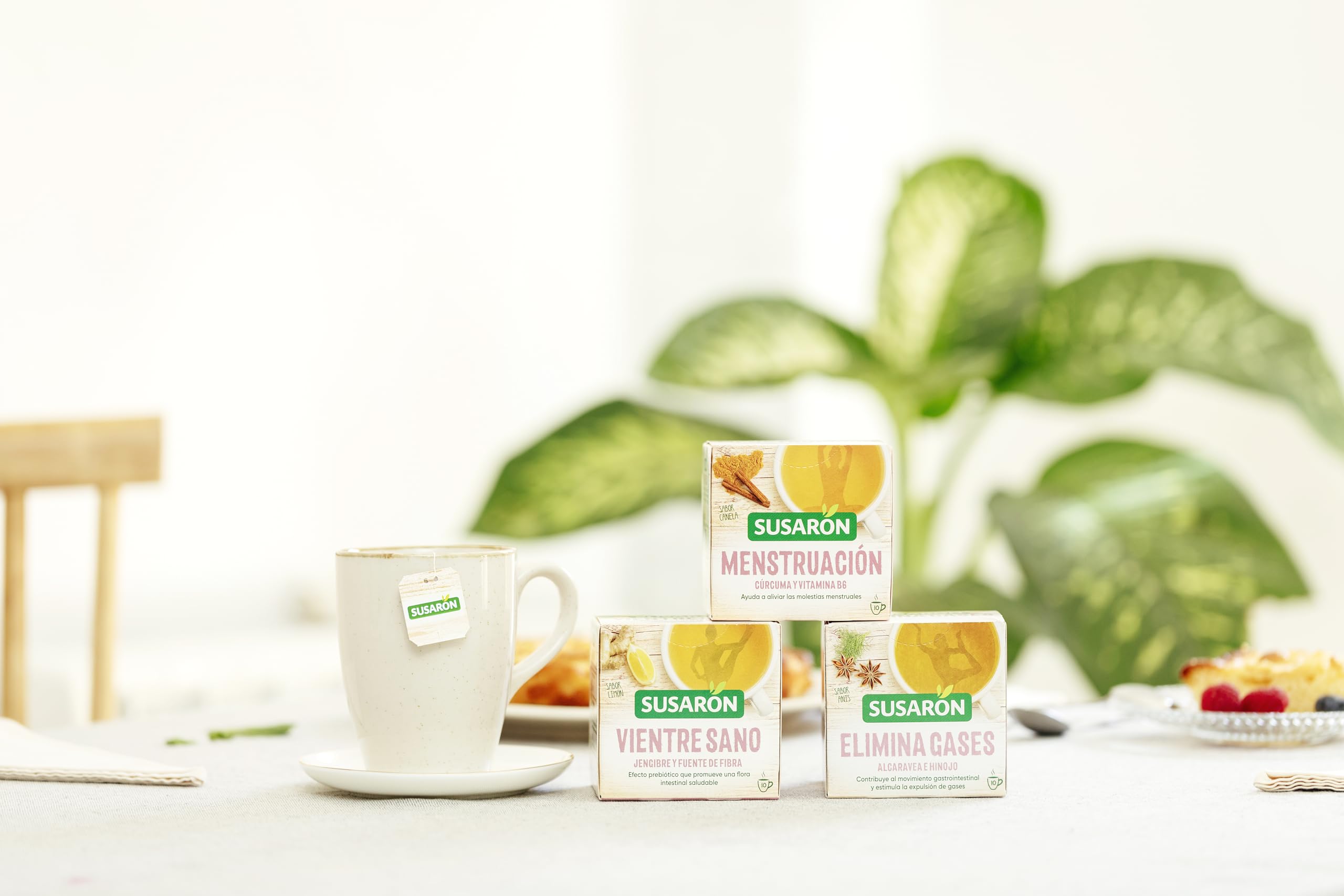 Infusión Vientre Sano Sabor Jengibre Caja 10 bolsitas
