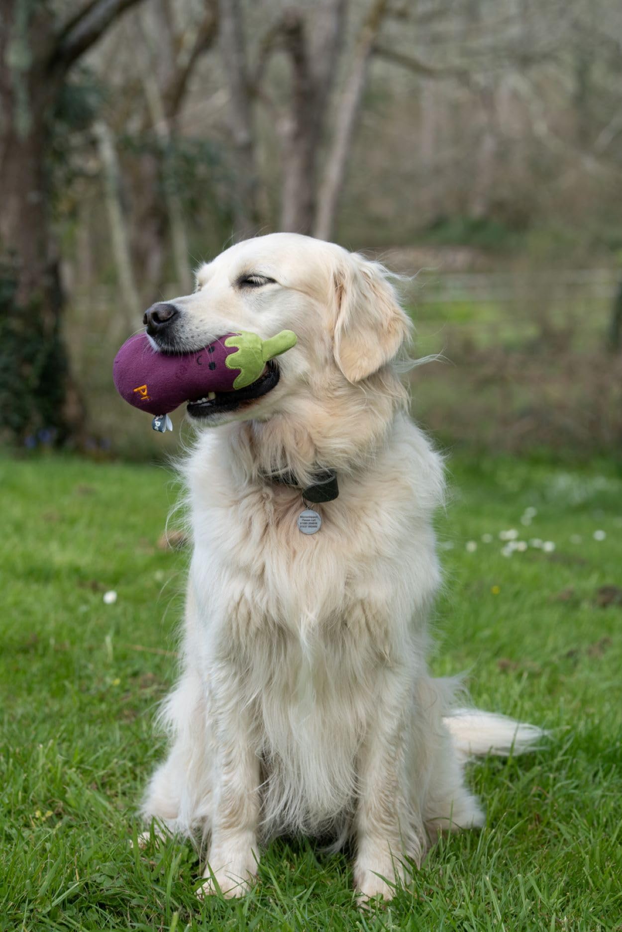 Petface Foodie Faces Aubergine Plush Dog Toy — view 3