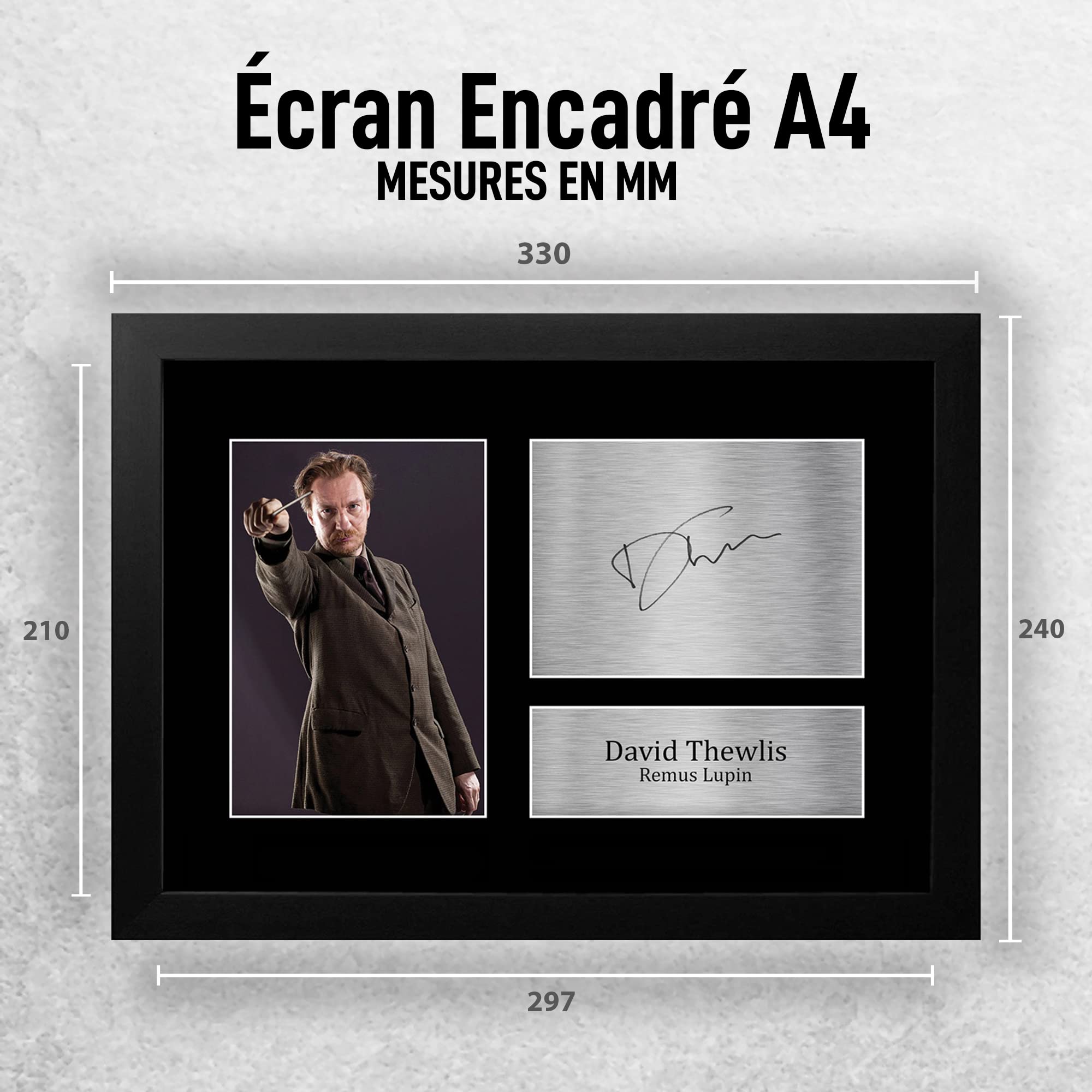 Photo Signée Gary Oldman En Sirius Black - Format A4, Impression Qualité, Pour Fans Harry Potter