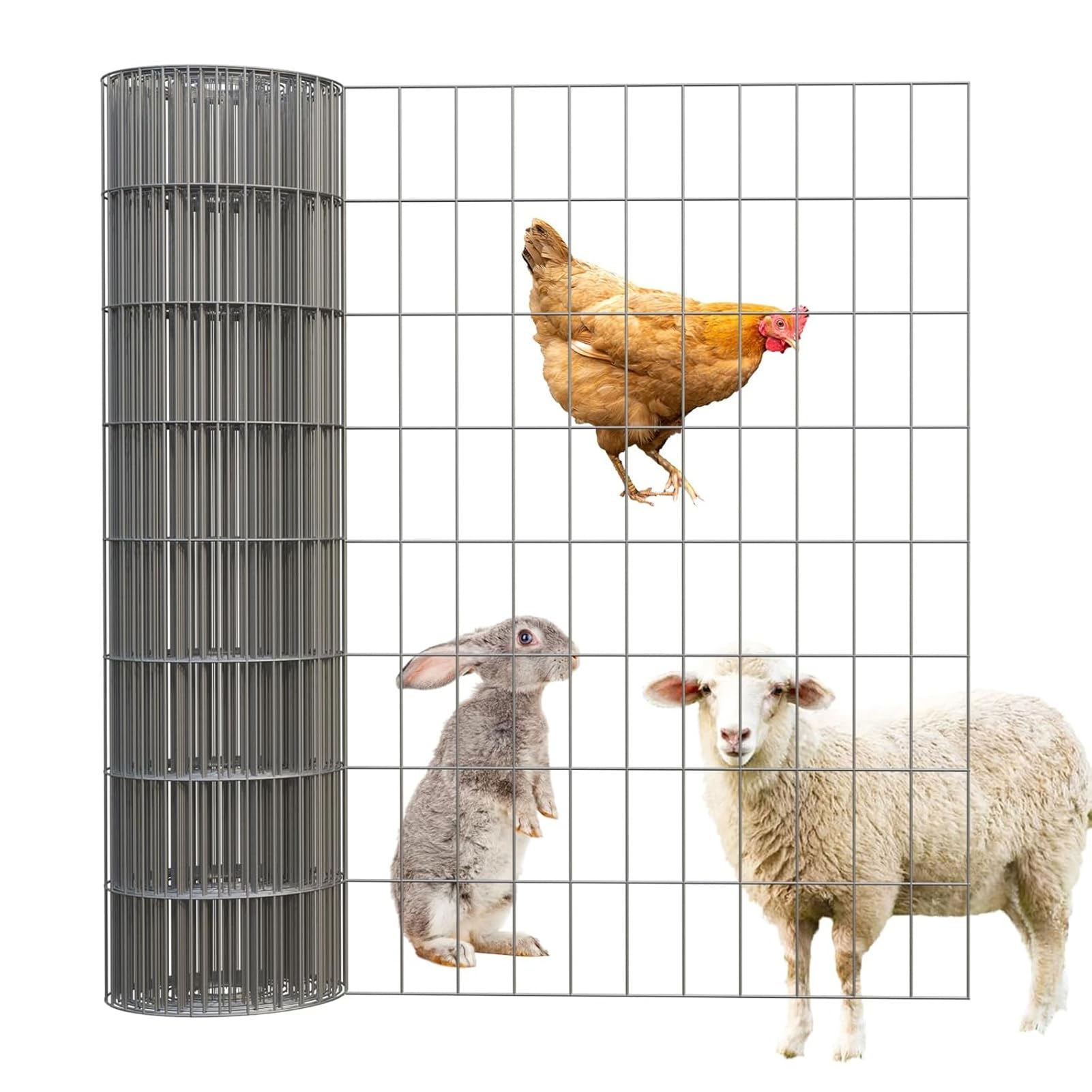 Valla de Alambre soldada de Acero Inoxidable para gallinero - Malla metálica de 1 x 10 cm para jardín, Red para pájaros y jaulas para Mascotas - Rollo de Malla Resistente (1,2 x 8 m / 47,2 x