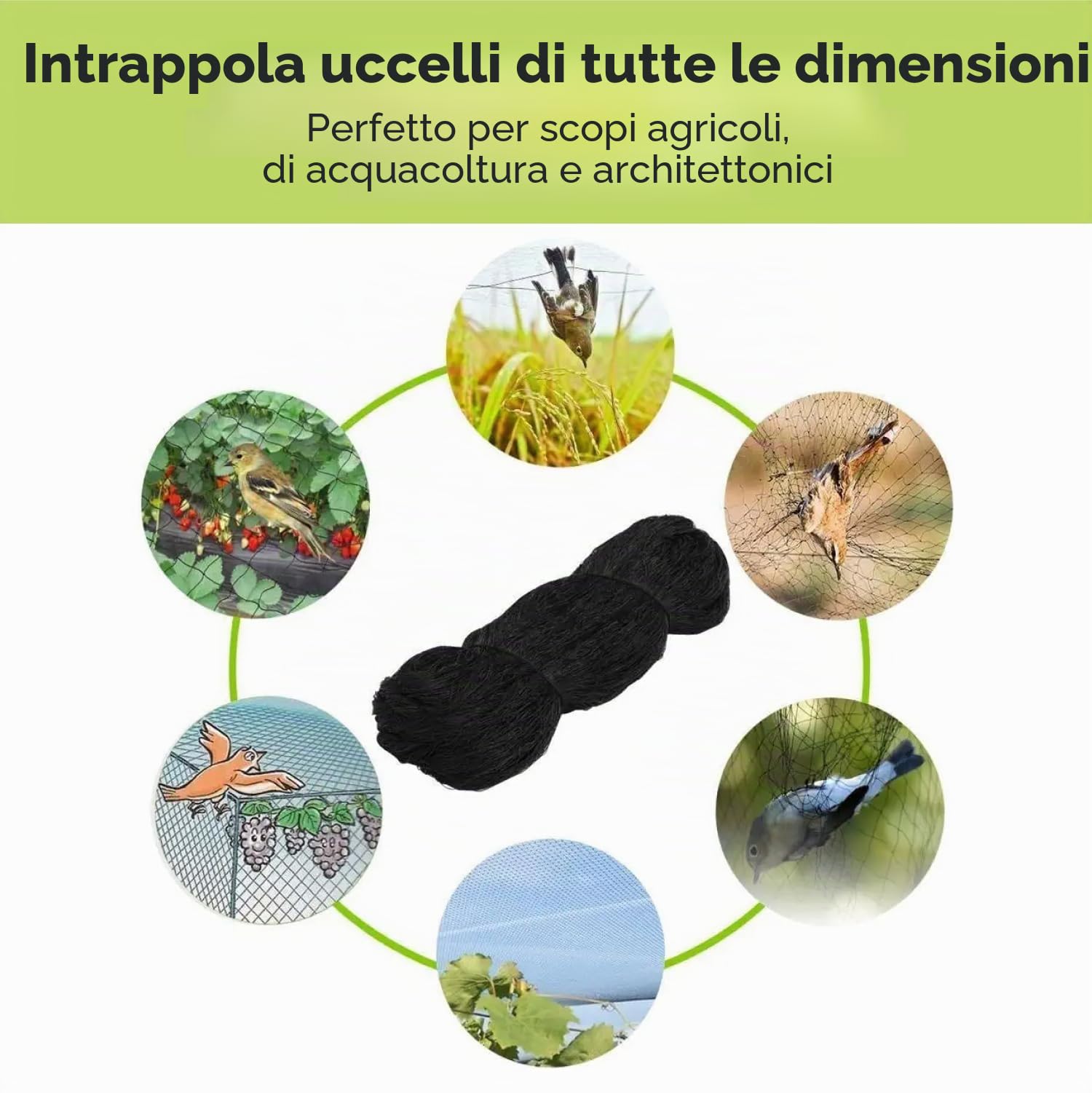 Rete in nylon anti uccelli, 127 x 150 m, protegge alberi da frutto, polli, giardini e voliere