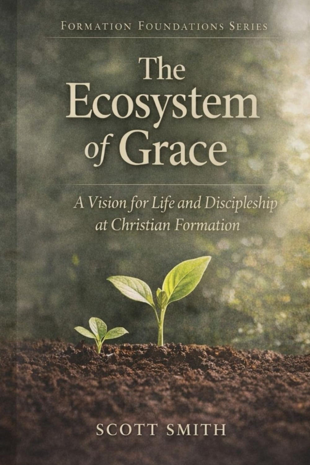 The Ecosystem of Grace: A Vision of Life Together as Christian Formation (Foundations in Christian Formation)