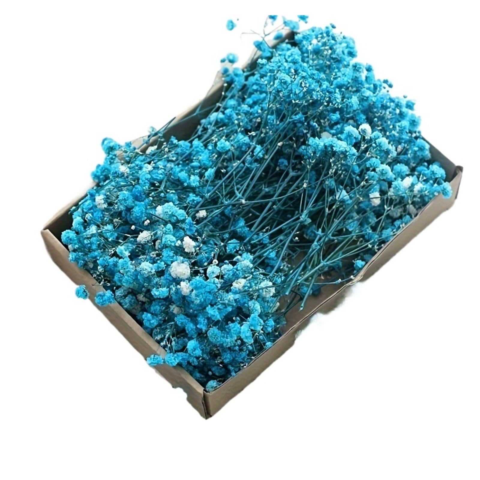 WJIAYAO dried gypsophila flowers 100pcs Mini Pink Baby's Breath Artificial Flowers for DIY Crafts Dried Gypsophila Home Vase Fillers Decorations(Blue with box)