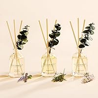 Vista 2 de COCORRÍNA Eucalyptus Reed Diffuser Set of 3 - Lavender Eucalyptus, Black Forest, Clean Cotton Scents, 1.7 fl oz Each, Total 5.1 oz, Scented Oil