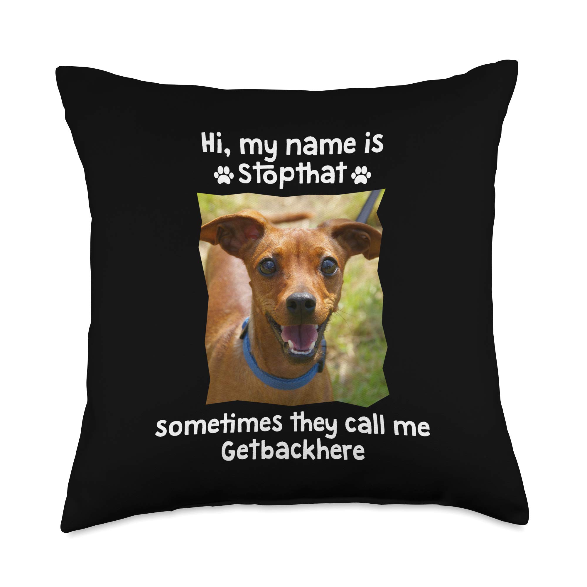 Why Does My Dog Randomly Get Hyper