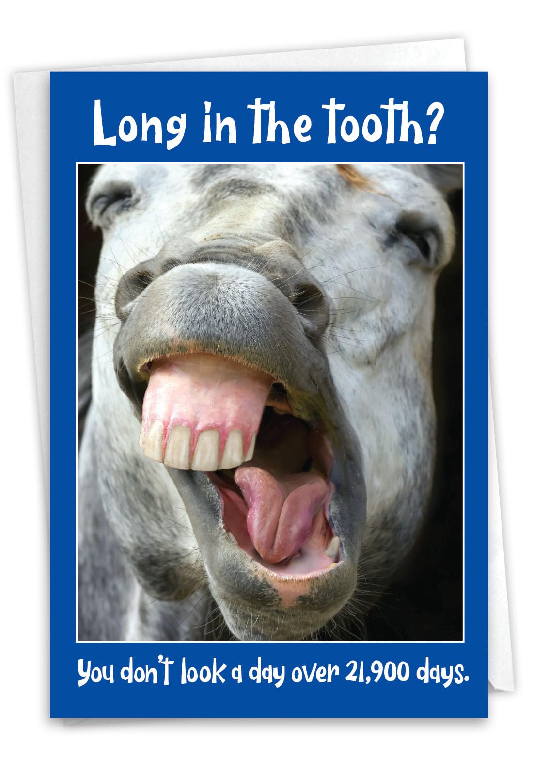 Hey Chimp Tarjeta De Cumpleaños De Caballo Para Mamá, Hija, Esposa