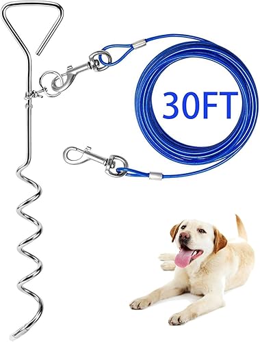 Cable de amarre para perros y estaca en espiral antioxidante, correa exterior de 30 pies y cadena para campamento y patio, 16 pulgadas resistente