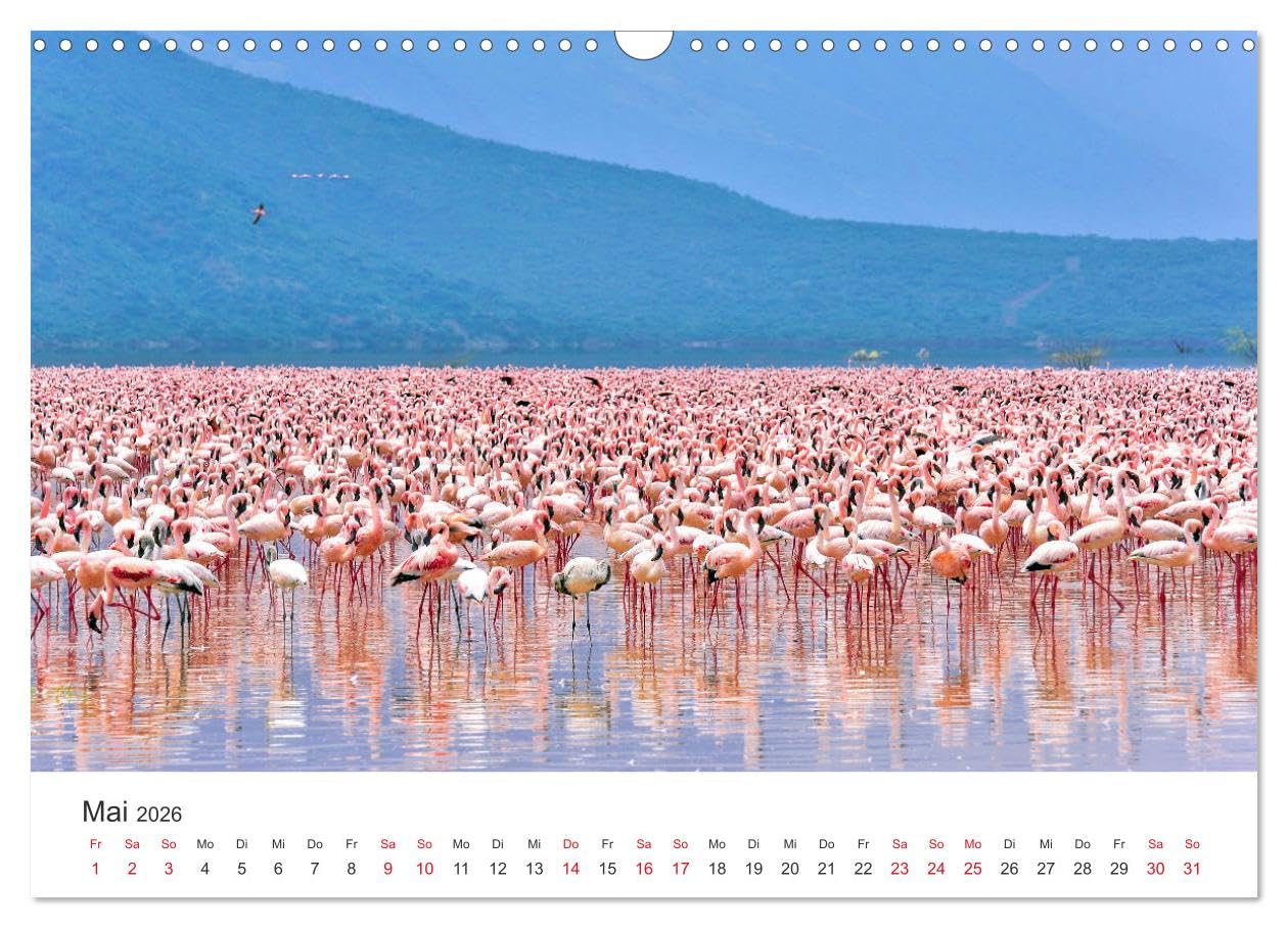 Kenia - Ein Land wie Afrika (Wandkalender 2026 DIN A3 quer), CALVENDO Monatskalender: Kenia, das Land in seinen Facetten (CALVENDO Orte)