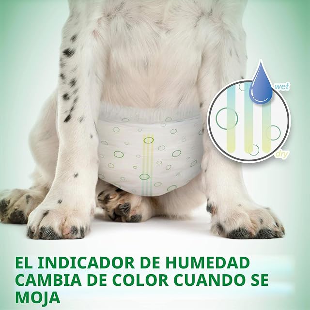 Foto 6 de 8 de Vet's Best Consumido de pañales para Perros de Confort Pañales de Perro Femenino Desechables
