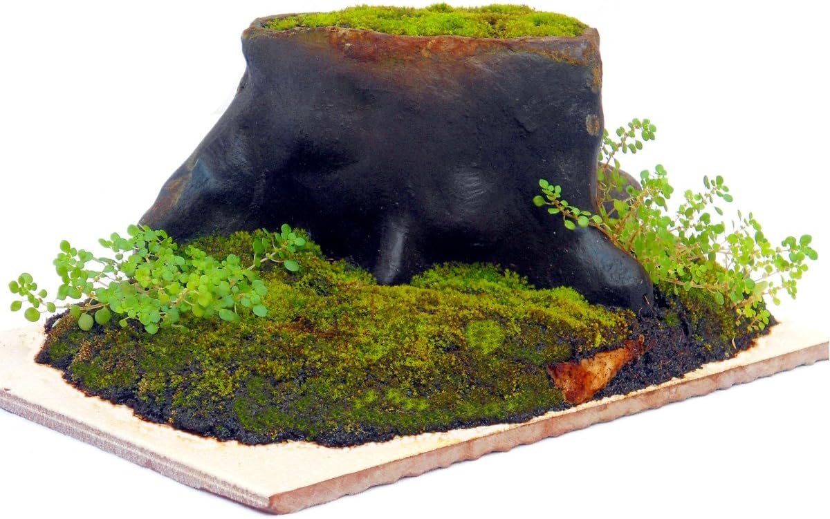 Ceramic Tree Trunk Decoration for Planted, Shrimp & Nano Aquarium/Terrarium - DW12P