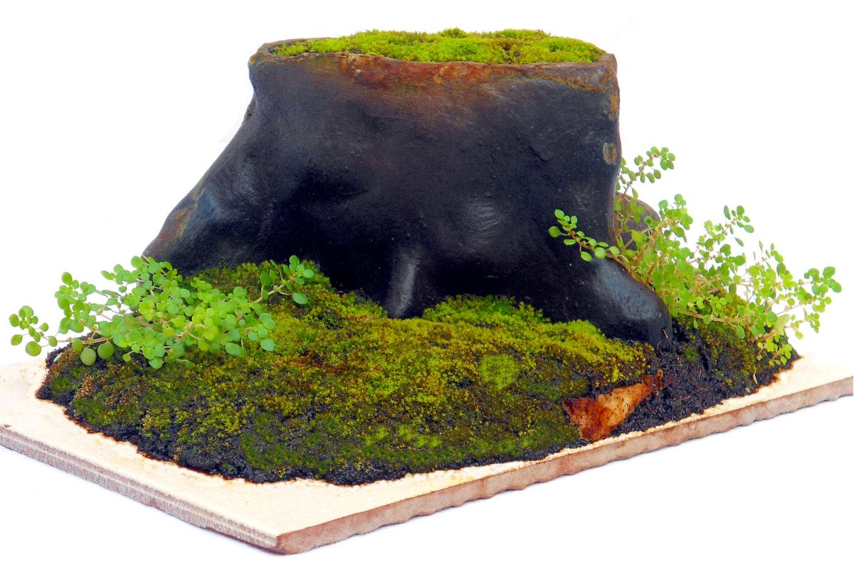 Ceramic Tree Trunk Decoration for Planted, Shrimp & Nano Aquarium/Terrarium - DW12P