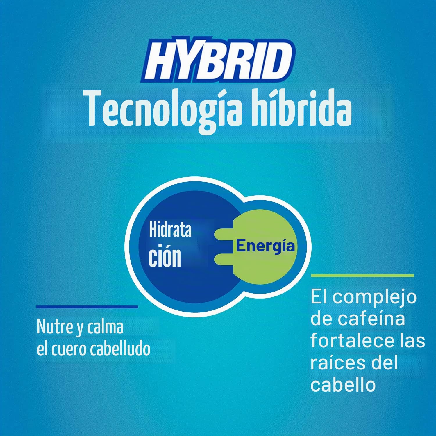 Alpecin Champú Hybrid Cafeina, 2 x 250 ml, para cuero cabelludo seco o picor