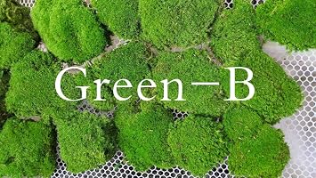 Preserved Pole Moss Pillow Bun Cushion Natural Green Decorative Real Natural DIY Kit Terrariums Gardenning Art Wall Decor Florist Decor Easter Table Decor Wedding4.5 sq.ft., Green-B