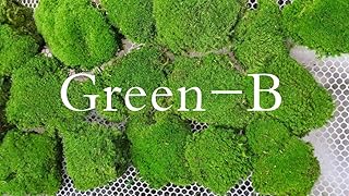 Preserved Pole Moss Pillow Bun Cushion Natural Green Decorative Real Natural Green DIY Kit Terrariums Gardenning Art Wall Decor Florist Decor Easter Table Decor Wedding(12.0 sq.ft., Green-B)