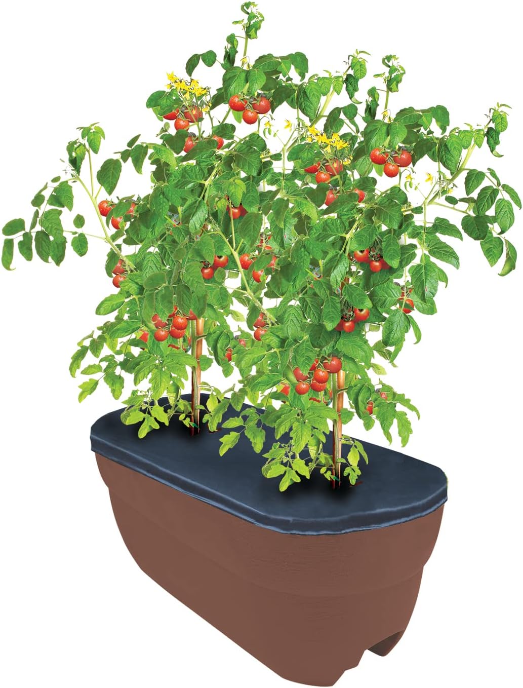Emsco Group 2435-1 Bloomers Self-Watering 24" Weatherproof Resin 6" Railings – Brown Rain Planter Grow Box, Earth