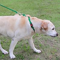 Vista 4 de Joytale Collar Martingale para perros, reflectante resistente para mayor seguridad, hebilla de liberación rápida, collares de nailon ajustables