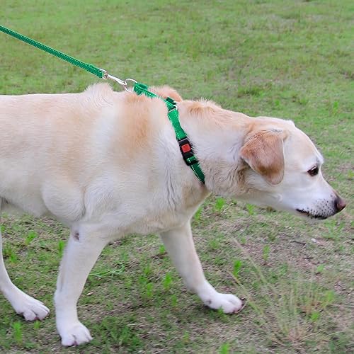 Miniatura 4 de Joytale Collar Martingale para perros, reflectante resistente para mayor seguridad, hebilla de liberación rápida, collares de nailon ajustables para