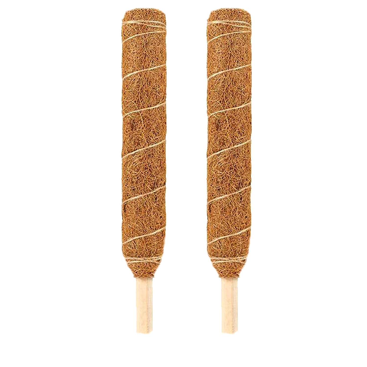 See full amazon price history chart for LIVEONCE Coco Pole -Moss and Coir Stick for Indoor, House and Plant Creepers Support 3 FEET -Pack of 2 -Color -Natural LIVEONCE Coco Pole -Moss and Coir Stick for Indoor, House and Plant Creepers Support 3 FEET -Pack of 2 -Color -Natural (B08P1W2Q7T) Amazon Price History, Amazon Price Tracker