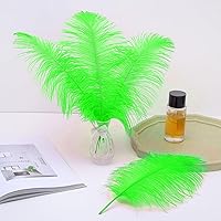 Vista 76 de 24 piezas de plumas de avestruz blanco natural de 10-12 pulgadas (25-30cm) para centros de mesa de bodas y fiestas, arreglos florales y decoración