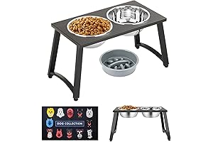 Elevated Dog Bowl Set: Enhanced Dining for Your Furry Friend