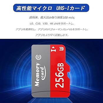 マイマイ デラックスカード 10枚入 maimai デラックスパスカード10枚セット