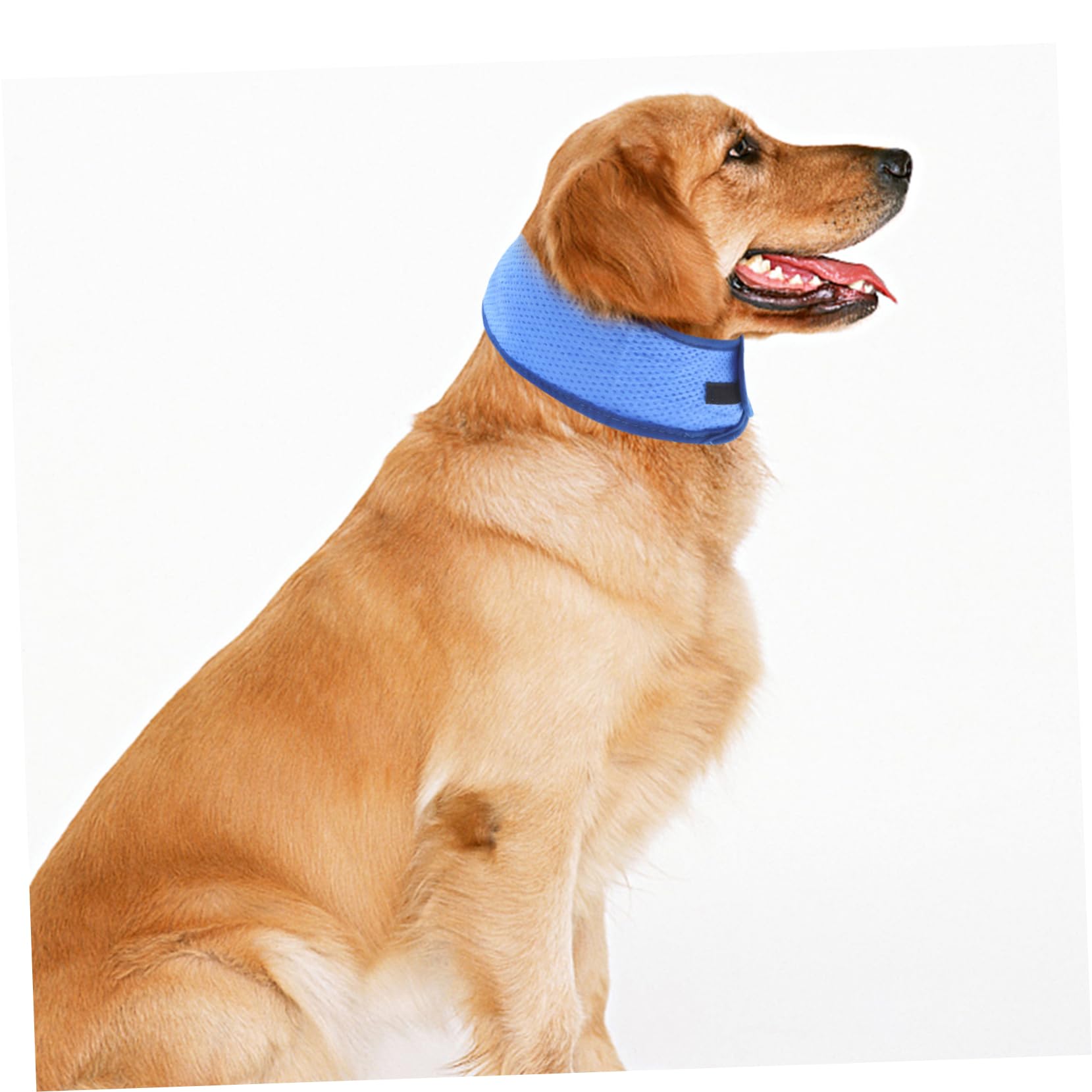 minkissy 4pcs dog cooling bandana dog bandanas summer Pet Bandana Puppy Ice Scarf summer dog collar Puppy Cooling Scarf Cooling Dog Bandana Cooling Pet Collars pet ice polyester the dog