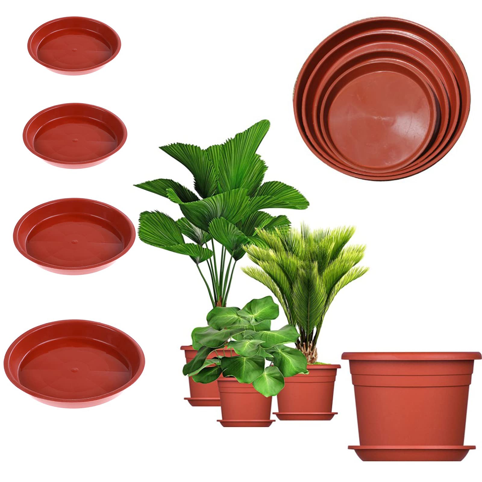 Sottobicchieri Plastica | Confronta prezzi