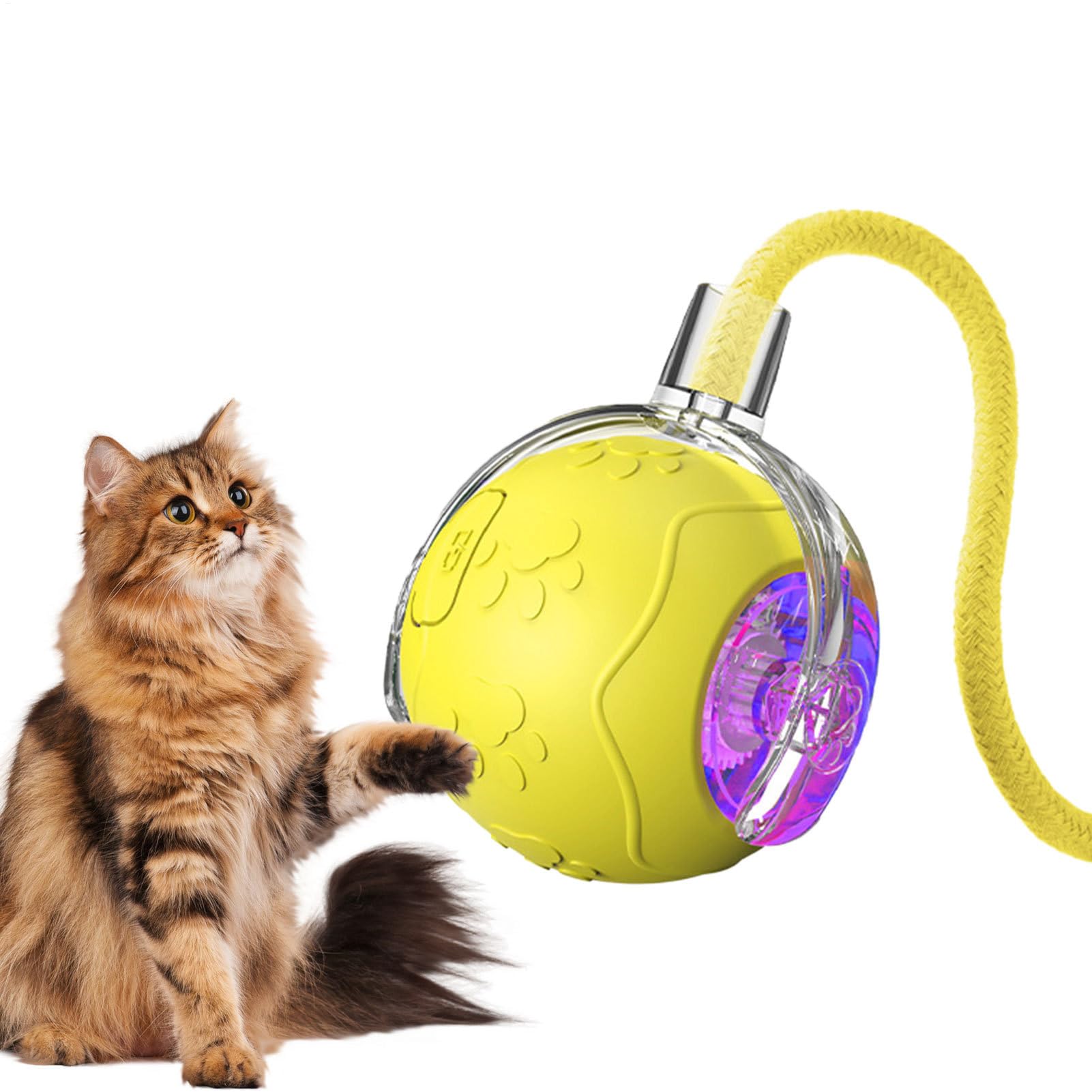 Jouet en silicone avec corde pour occuper votre chat ou chiot seul