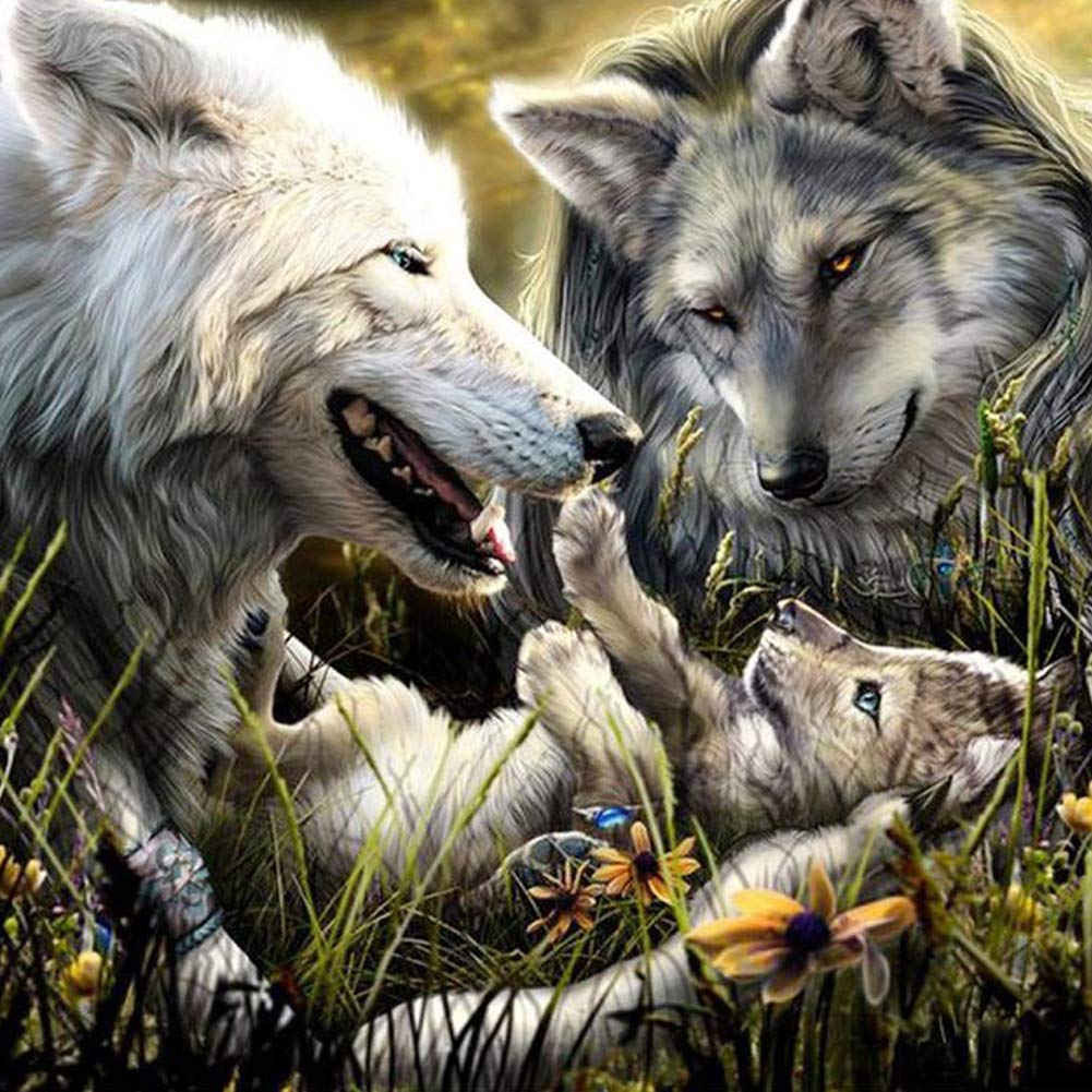 Diymood 5D Diamond Painting Libellule Kit - DIY Broderie Diamant Animal