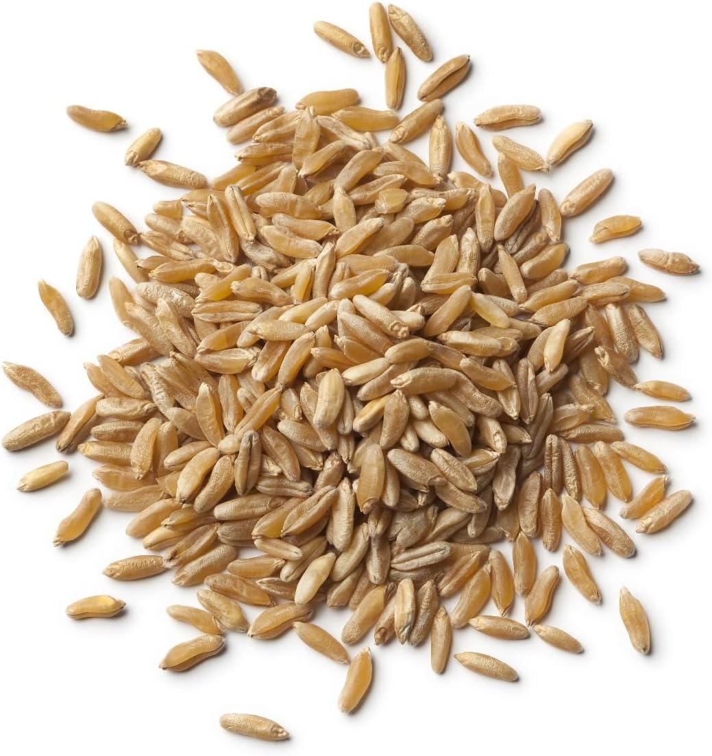 Organic Kamut Grain 1kg (BWFO)