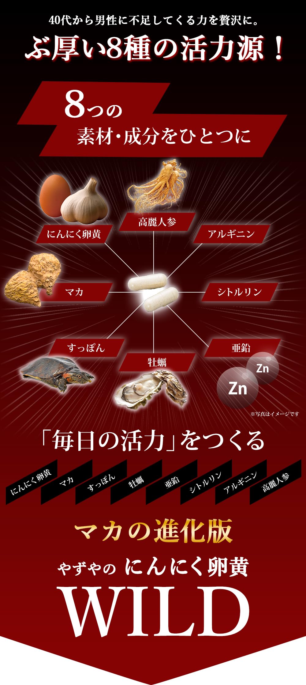 Amazon | 【やずや公式】にんにく卵黄WILD(マカ・すっぽん・亜鉛・牡蠣 