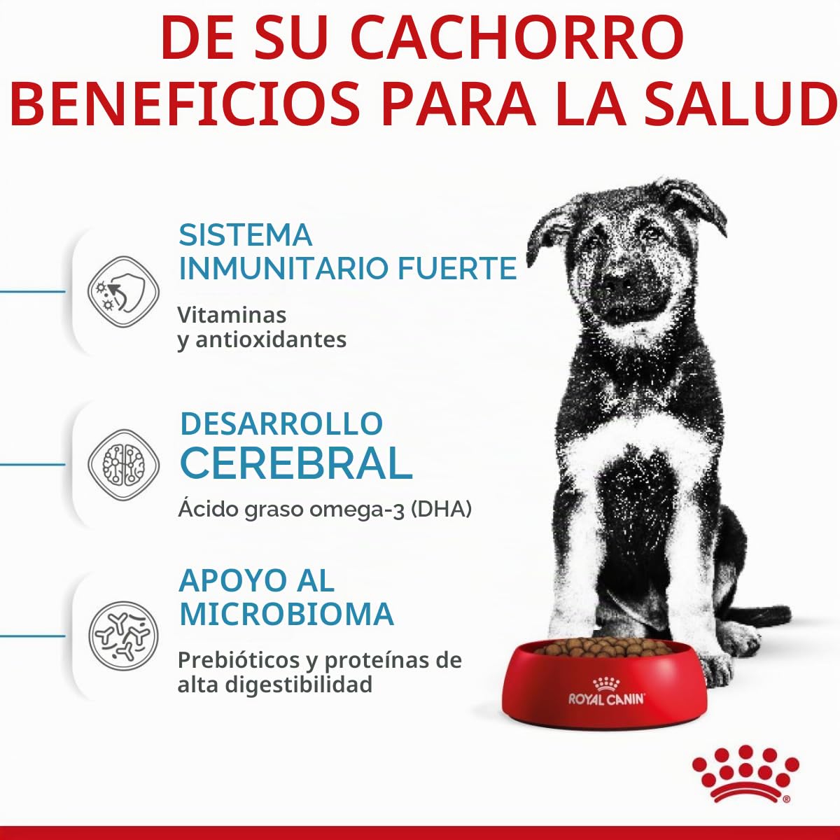 Royal Canin Alimento para Perros Maxi Puppy- 15 kg