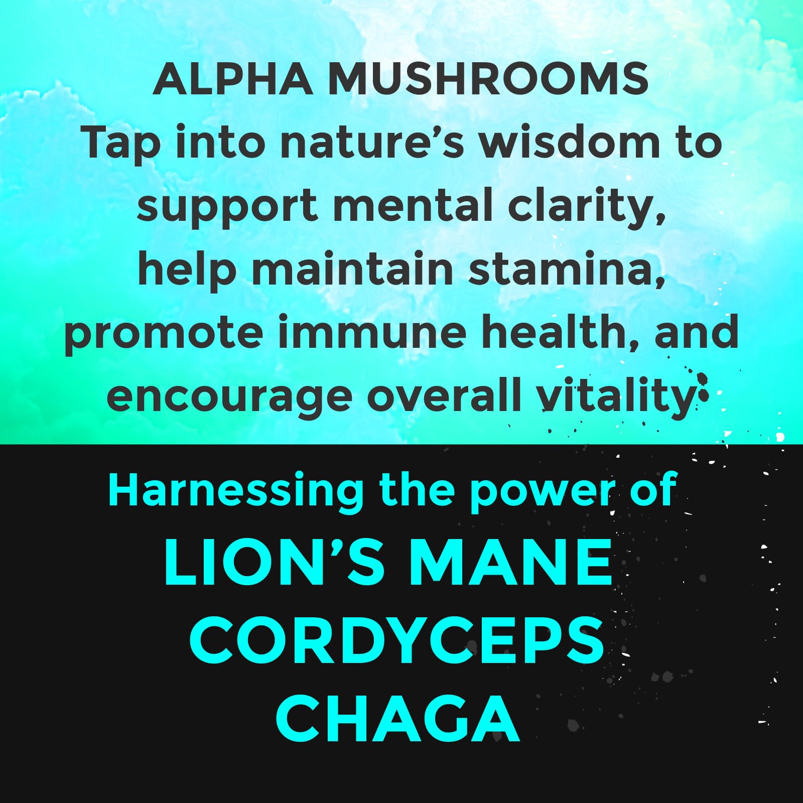 Fully Loaded Alpha Mushroom Pouches - Adaptogen Nootropic Pouches (5-Pack, Vanilla) - Lion's Mane, Cordyceps, & Chaga - 5 cans, 15 Pouches per can - Functional Mushrooms - Made in the USA — Amazon image 5