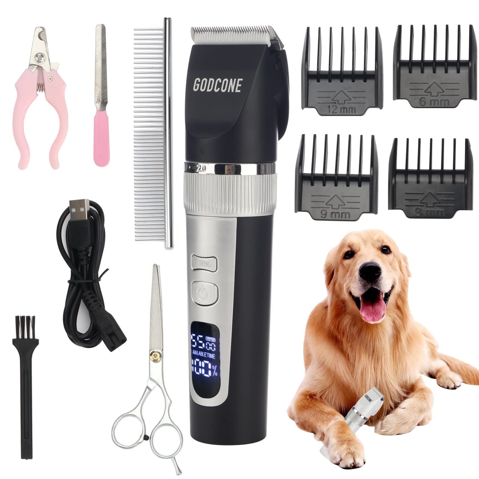 Why Do Groomers Shave Dogs